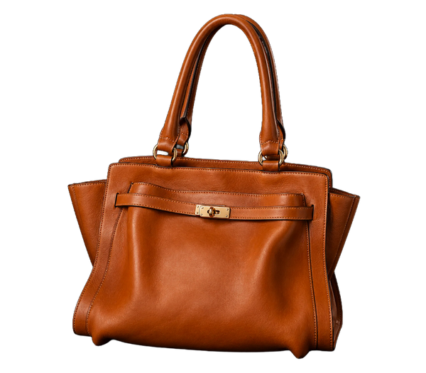 The Founder Brillè bag